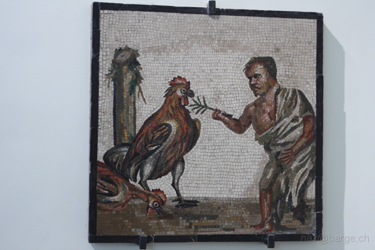 EOS 40D03_05_20120207.JPG